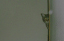 image0069