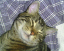 image0117