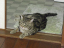 image0136