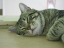 image0137