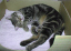 image0142
