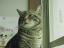 image0143