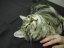 image0144