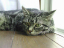 image0149