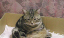 image0159