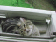image0165