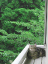 image0168