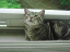 image0169