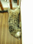 image0176