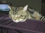 image0181