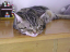 image0182