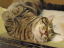 image0188