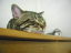 image0190