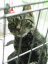 image0191