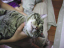 image0192