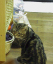 image0193