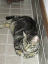 image0195