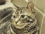 image0197