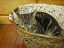 image0199