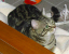 image0200