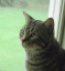 image0206