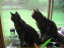 image0210