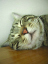 image0213