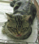 image0215