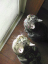image0220