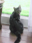 image0222