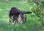 image0223