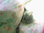 image0226