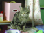 image0229