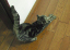 image0231