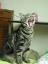 image0232