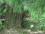 image0234