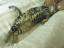 image0235