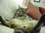 image0237