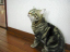 image0238