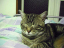image0239
