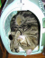 image0240
