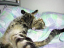 image0241