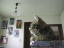image0242