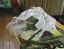 image0245
