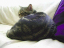 image0246
