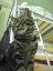 image0249