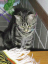 image0250
