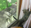 image0260