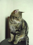 image0263