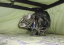 image0264